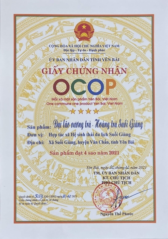 Trà Du lịch Yên Bái - Hoàng trà shan tuyết cổ thụ 50g