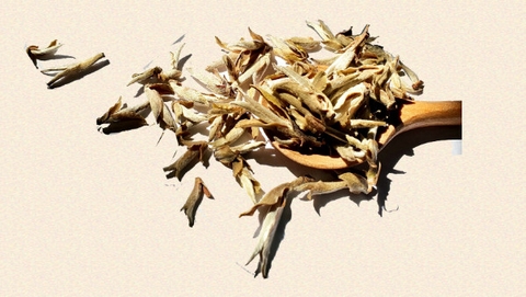 TRÀ BẠCH TIÊN