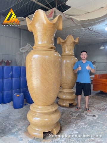 Lục Bình Cẩm Vàng 2m2(Bán Về Hải Phòng)