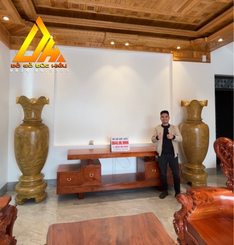 Lục Bình Cẩm Vàng 2m(Bán về Bắc Giang)