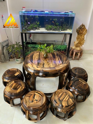 Bộ Trống Gỗ Mun Hoa