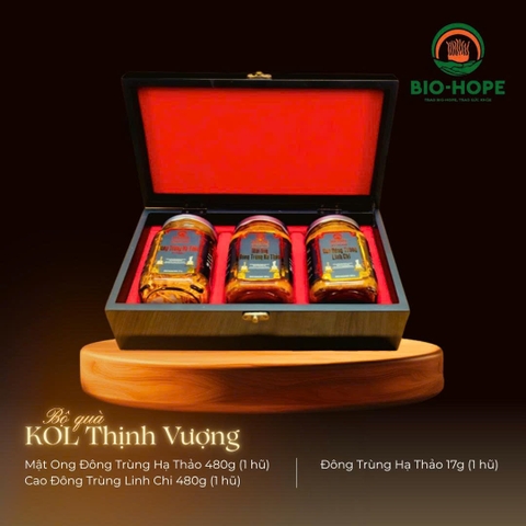 Bộ Quà Tặng KOL Thịnh Vượng ( KOL Đông Trùng Hạ Thảo) - Quà Tết 2026
