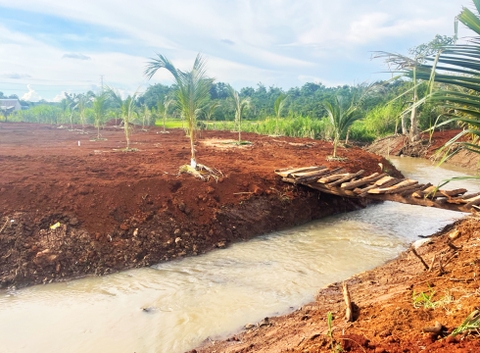 Đất vườn Daklak 11.000 m2 - Có ao nuôi cá, đất trồng cây ăn trái