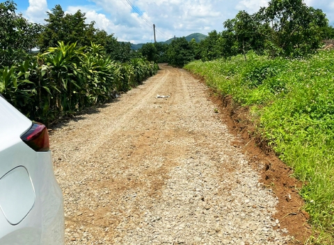 Đất vườn Bảo Lộc 7.500 m2 - Đất trồng cây ăn trái Sầu Riêng, Bơ, Tiêu, Cà Phê