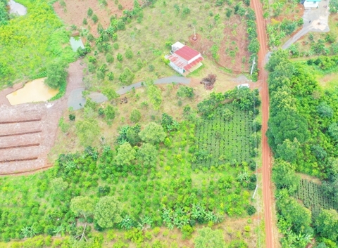 Đất vườn Di Linh 5.000 m2 - Đất trồng cây ăn trái, gần thác nước quy hoạch Du Lịch