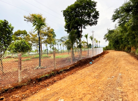 Đất vườn Daklak 11.000 m2 - Có ao nuôi cá, đất trồng cây ăn trái