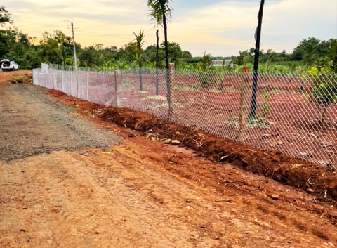 Đất vườn Daklak 11.000 m2 - Có ao nuôi cá, đất trồng cây ăn trái