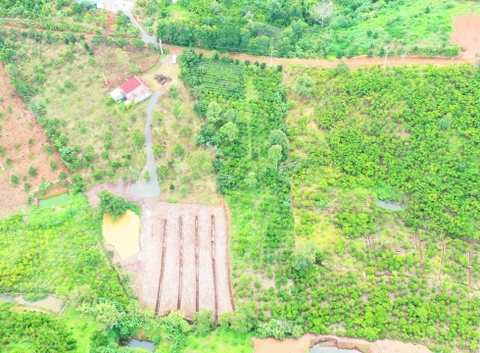 Đất vườn Di Linh 5.000 m2 - Đất trồng cây ăn trái, gần thác nước quy hoạch Du Lịch