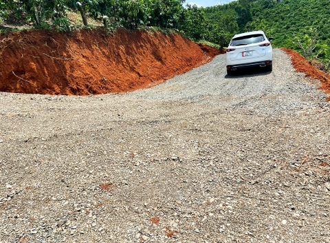 Đất vườn Bảo Lộc 7.500 m2 - Đất trồng cây ăn trái Sầu Riêng, Bơ, Tiêu, Cà Phê