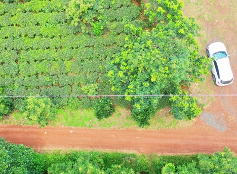 Đất vườn Di Linh 5.000 m2 - Đất trồng cây ăn trái, gần thác nước quy hoạch Du Lịch