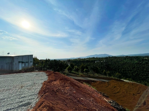 Đất vườn Bảo Lộc 11.000 m2 - Vườn cây ăn trái 12 năm tuổi