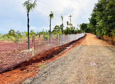 Đất vườn Daklak 11.000 m2 - Có ao nuôi cá, đất trồng cây ăn trái