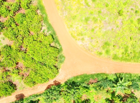Đất vườn Di Linh 1.700 m2 - Đất trồng Bơ O34