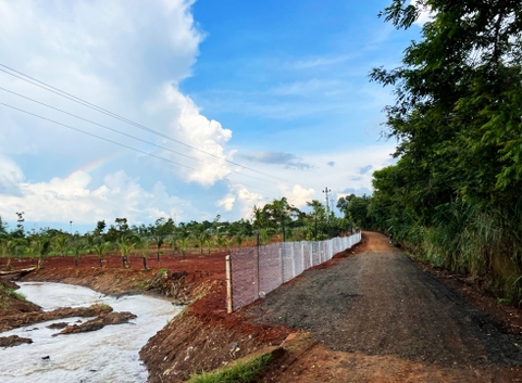 Đất vườn Daklak 11.000 m2 - Có ao nuôi cá, đất trồng cây ăn trái