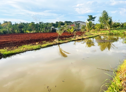 Đất vườn Daklak 11.000 m2 - Có ao nuôi cá, đất trồng cây ăn trái