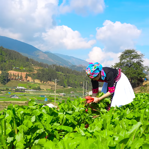 Bếp Trên Bản | Thịt Kho Đông Pha