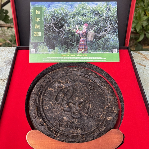 Bánh Trà Shan Cổ Thụ Tây Côn Lĩnh