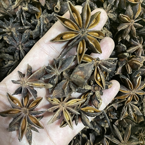 Hoa Hồi Tây Bắc - Gói 100g