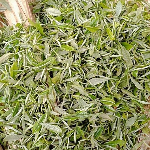 Bánh Trà Shan Cổ Thụ Tây Côn Lĩnh