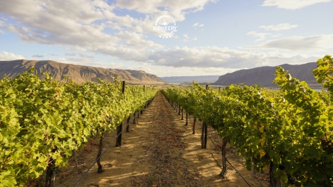 Vùng rượu vang mới nhất của Mỹ và dấu ấn terroir khắc nghiệt