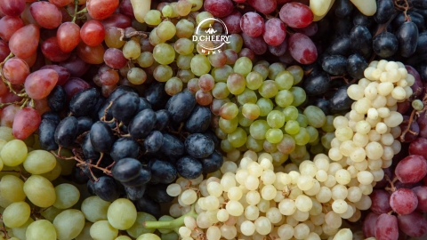 Grape Variety là gì? Vai trò của giống nho trong rượu vang