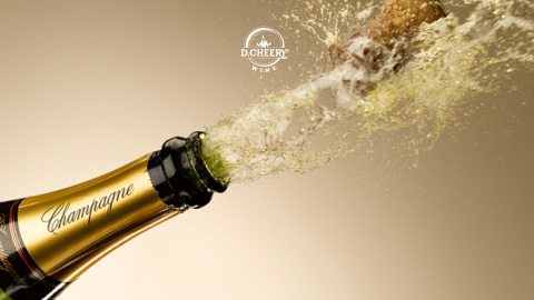 5 tiểu vùng sản xuất rượu vang nổi bật ở Champagne