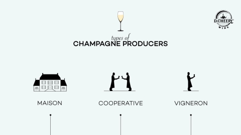Phân loại Nhà sản xuất Champagne