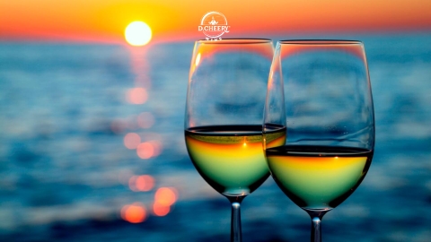 Tại sao không nên để rượu vang tiếp xúc với ánh sáng mặt trời?