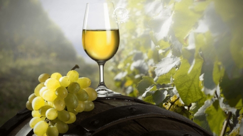 Malolactic Fermentation là gì trong rượu vang? Hương vị bơ từ đâu mà có?