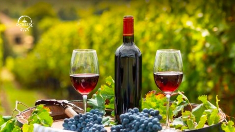 Top 5+ chai vang ngon giá rẻ bình dân dưới 300k được ưa chuộng nhất 2024