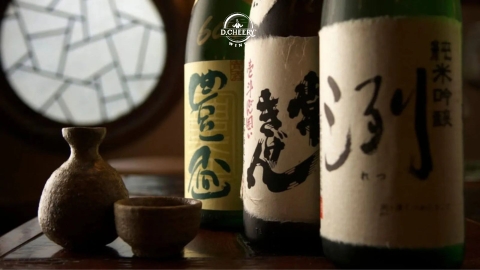 10 Sự Thật Thú Vị Về Sake – Khám Phá Tinh Hoa Văn Hóa Nhật Bản