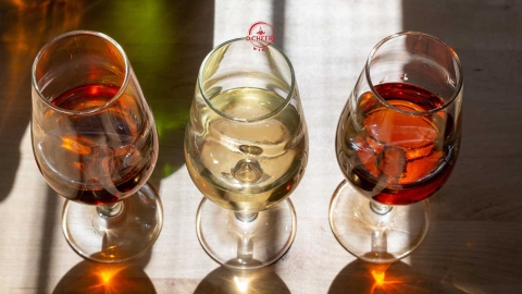Oxidation là gì? Hiểu đúng về quá trình oxy hóa trong rượu vang