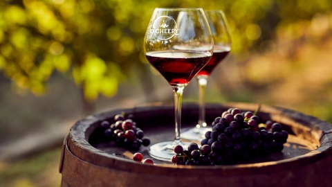 Hương vị toasty có trong rượu vang là gì?