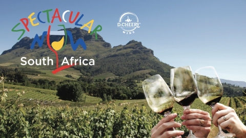 Những Điều Cần Biết Về Rượu Vang Nam Phi