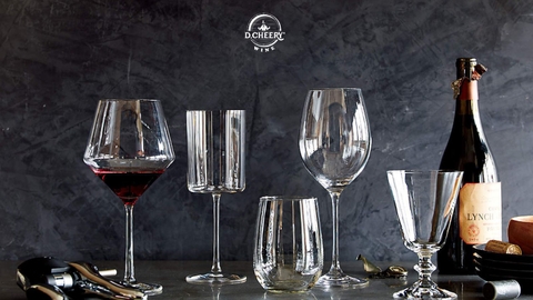 Nghệ Thuật Chọn Lựa - Sự Quyến Rũ Của Các Loại Ly Rượu Vang