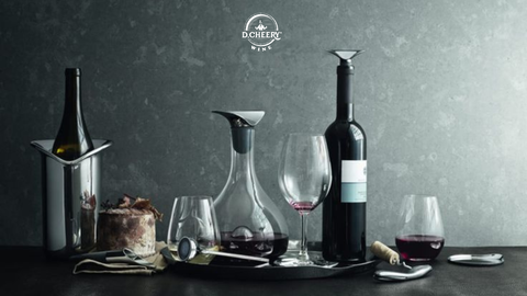 Decanter - Những thông tin hữu ích về bình thở rượu vang