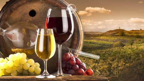 Vì sao rượu vang trắng có lượng tannin thấp hơn rượu vang đỏ?