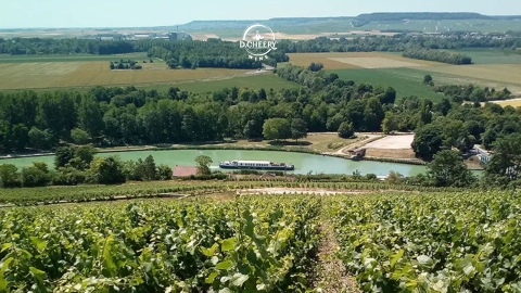 Terroir là gì? Hiểu đúng về yếu tố quyết định chất lượng và cá tính rượu vang Pháp