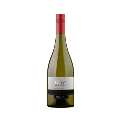 Rượu Vang San Pedro 1865 Selected Vineyards, Sauvignon Blanc