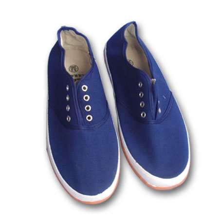 Giày thượng đình 5