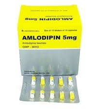 Amlodipin 5mg hộp 10 vỉ x 10 viên nang Vidiphar