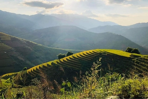HÀ NỘI – MÙ CANG CHẢI – MÙA LÚA CHÍN