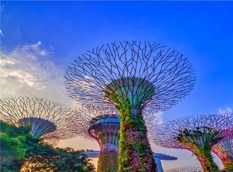 DU XUÂN 2024: SINGAPORE – SENTOSA – MADAM TUSSAUSE – GARDEN BY THE BAY - JEWEL