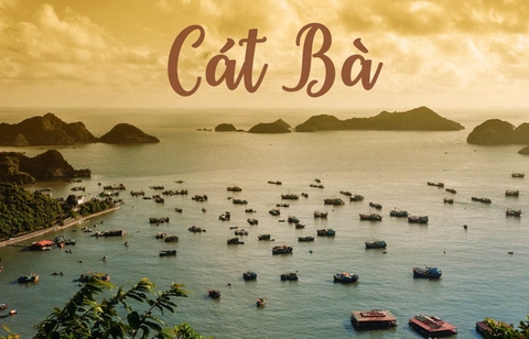 CÁT BÀ - VỊNH LAN HẠ 2N1Đ