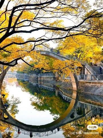HÀ KHẨU – CÔN MINH – NÚI TUYẾT KIỆU TỬ - HỒ ĐIỀN TRÌ – CÔNG VIÊN THÁC NƯỚC NIULANJIANG
