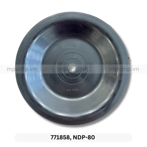 Màng bơm Neoprene YAMADA NDP-80 771857