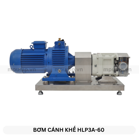 Máy bơm lobe inox 304 HLP3A-60