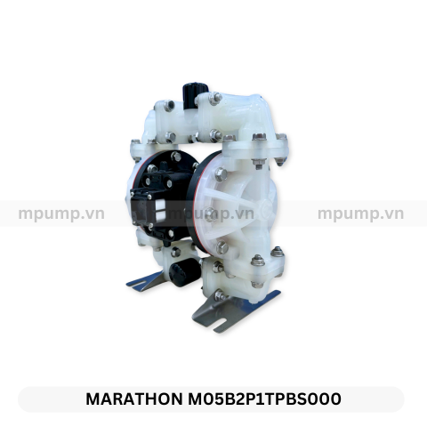 Máy bơm màng Marathon M05B2P1TPBS000