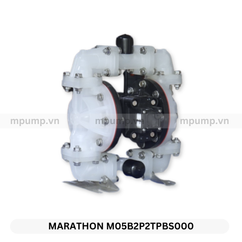Máy bơm màng Marathon M05B2P2TPBS000