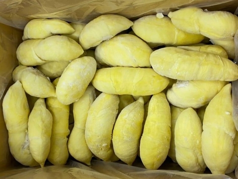 IQF FROZEN DURIAN